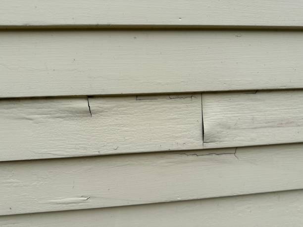 Professional Junk Removal in Deforest, WI